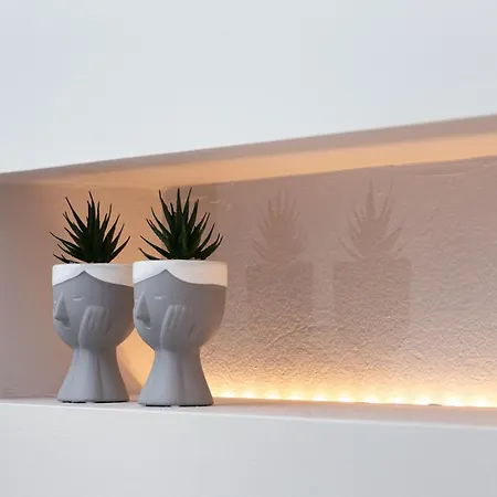 Dk In The Heart Of The Apartment *